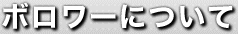 借り手について